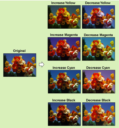 こりんページ Colorado 1650